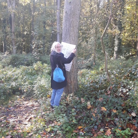 Freilassung fünf Bilder im Fürstbischhöflichen Wald, Tiergarten, Münster Wolbeck. 24.10.2021